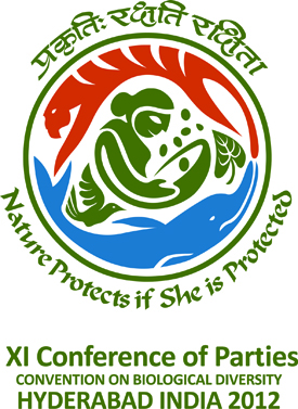 COP 11 Logo